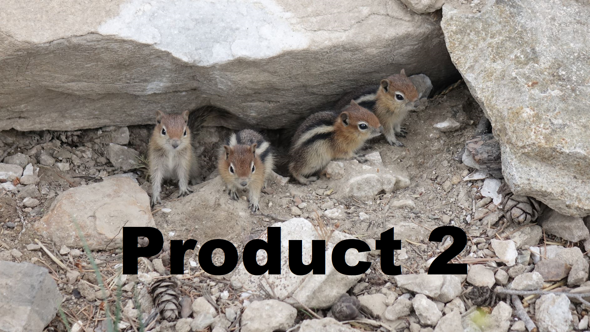 A placeholder image of the product